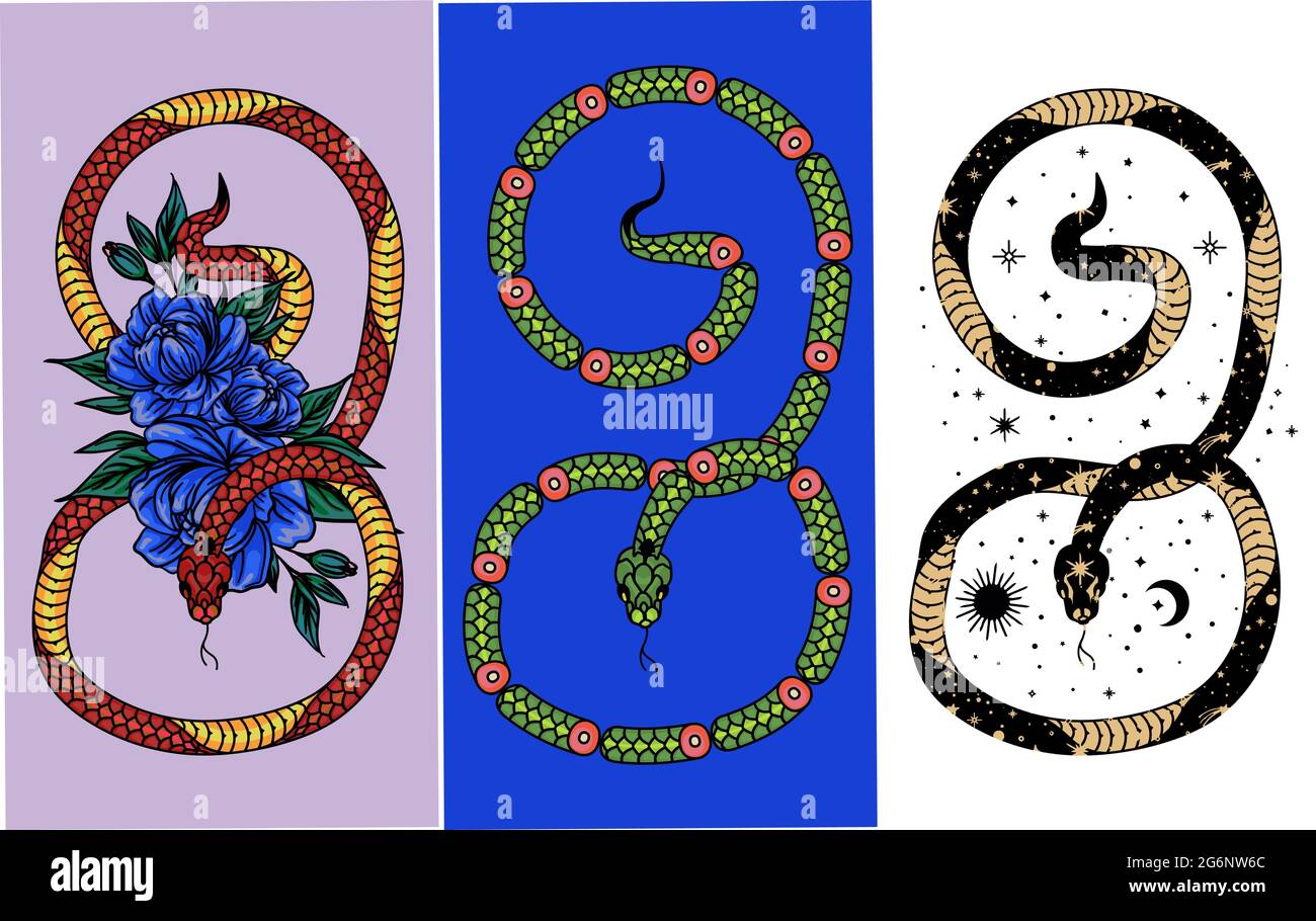 Sammlung von Mythologie und mystischen Poster Illustrationen in handgezeichneter Form. Kosmische Magie Schlange. Schlange und Wildblumen, esoterische und boho Objekte, S Stock Vektor