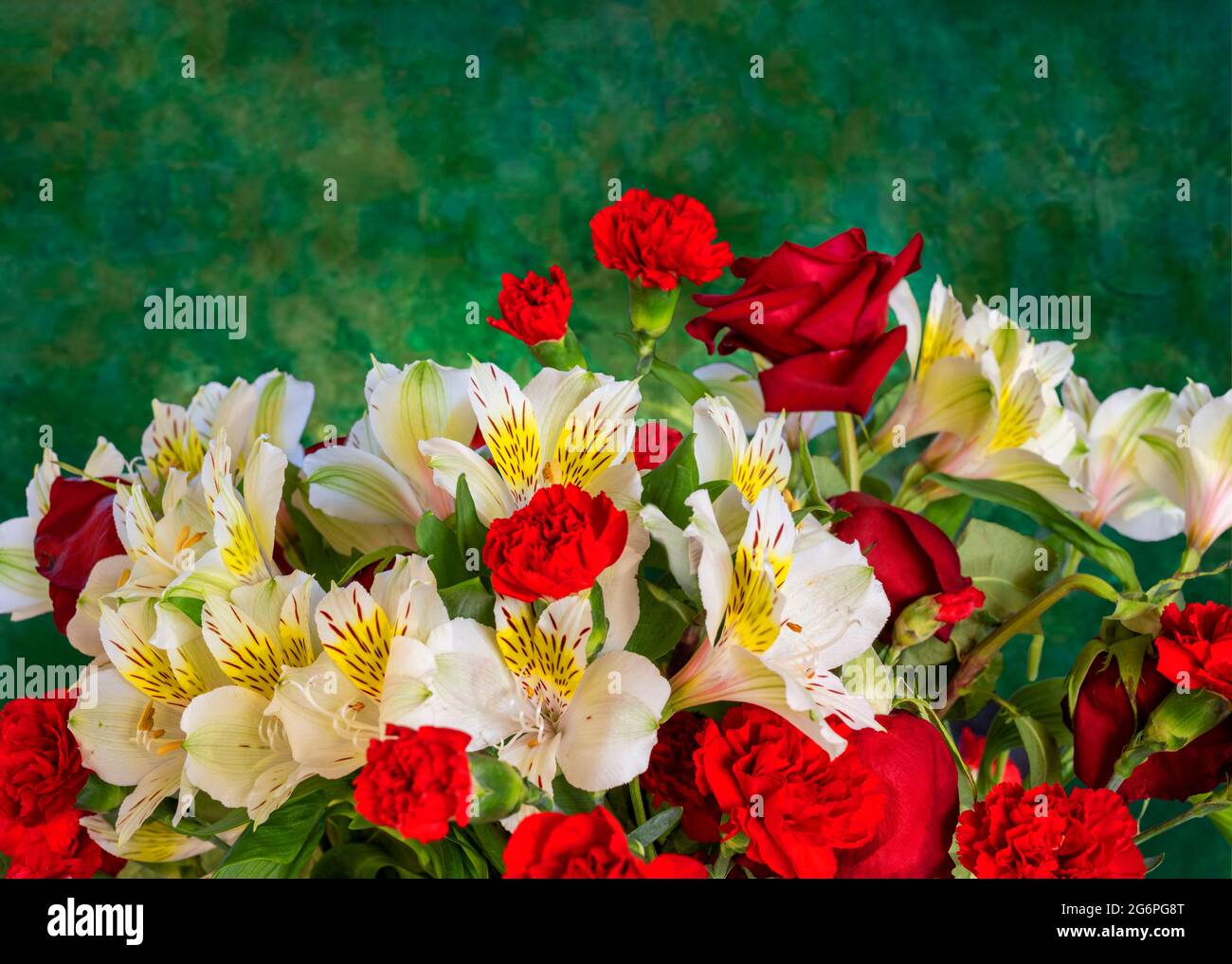 Bouquet von roten Rosen, gelben und weißen peruanischen Lilien und roten Nelken mit grünem Hintergrund. Stockfoto