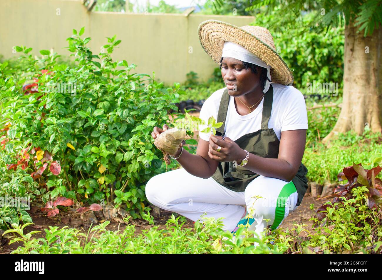 Afrikanische Gärtnerin, Floristin oder Gärtnerin, die eine Schürze und einen Hut trägt, arbeitet während sie in einer grünen und bunten Blumen und Pflanzen gard hockt Stockfoto