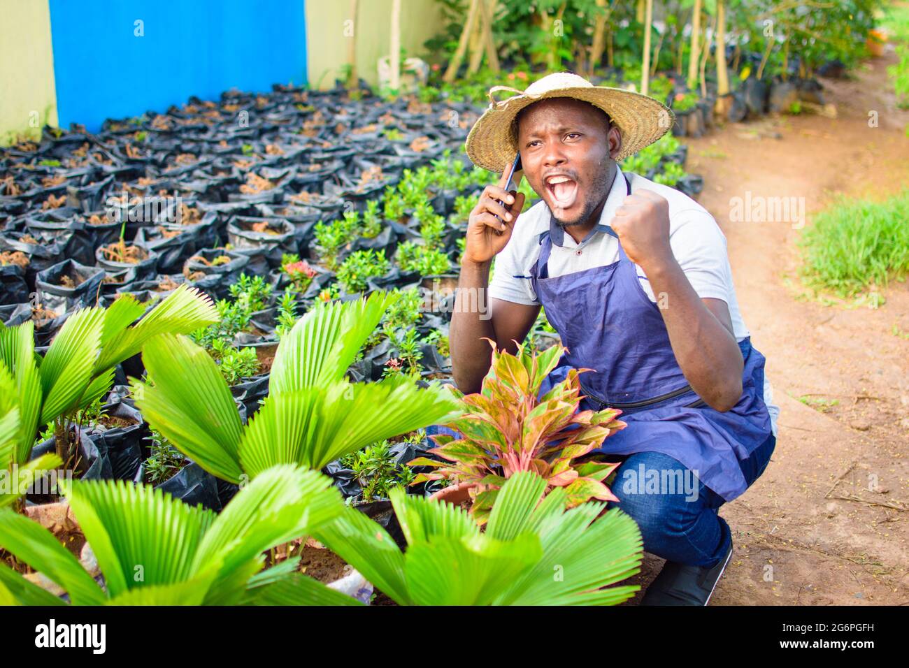 Afrikanischer Gärtner, Blumenhändler oder Gärtner mit Schürze und Hut, der telefoniert und in der Hocke arbeitet, während er in einer grünen und bunten Blüte arbeitet Stockfoto