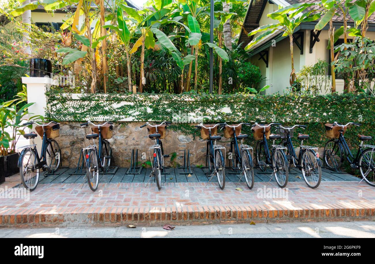 Fahrrad, Parkplatz in einer Reihe, auf dem Bürgersteig, vor einem Zaun voller Reben. Die meisten werden aufgrund von Reisebeschränkungen aufgrund der Pandemie nicht verwendet. Stockfoto