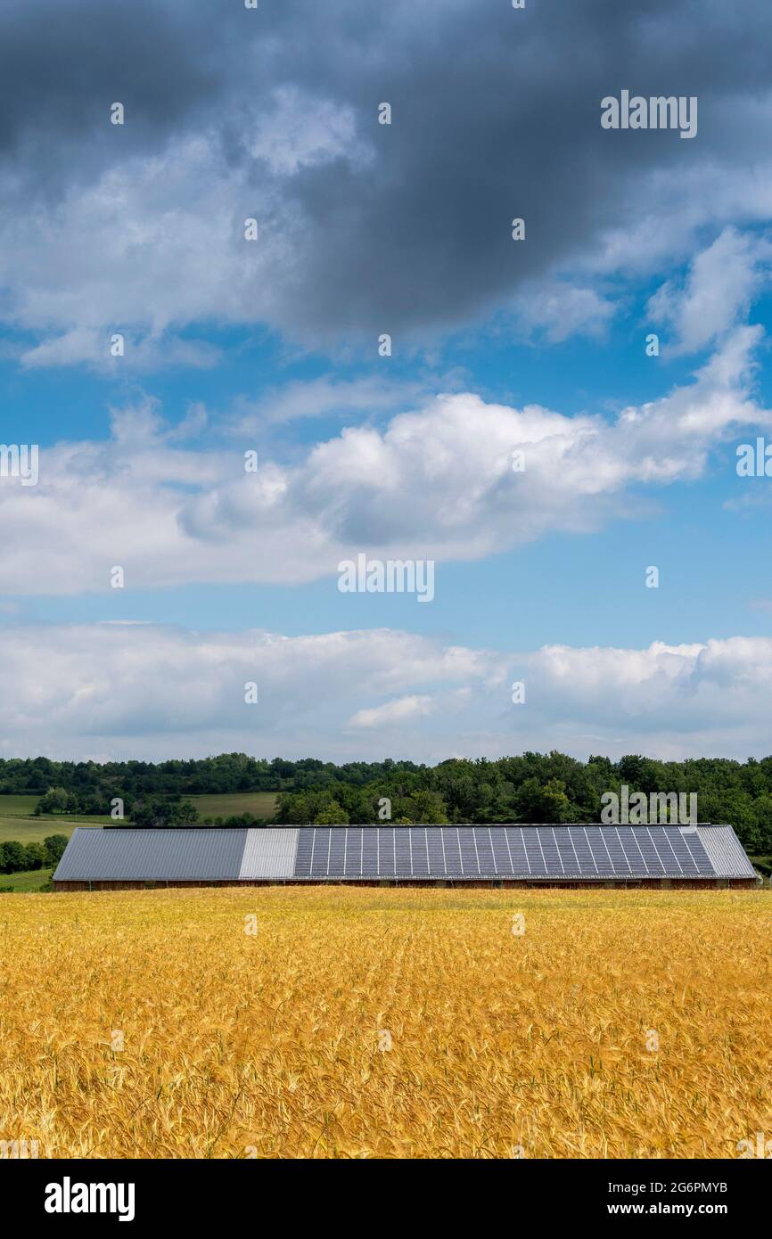 Sonnenkollektoren auf einem Dach, Departement Puy de Dome, Auvergne-Rhone-Alpes, Frankreich Stockfoto