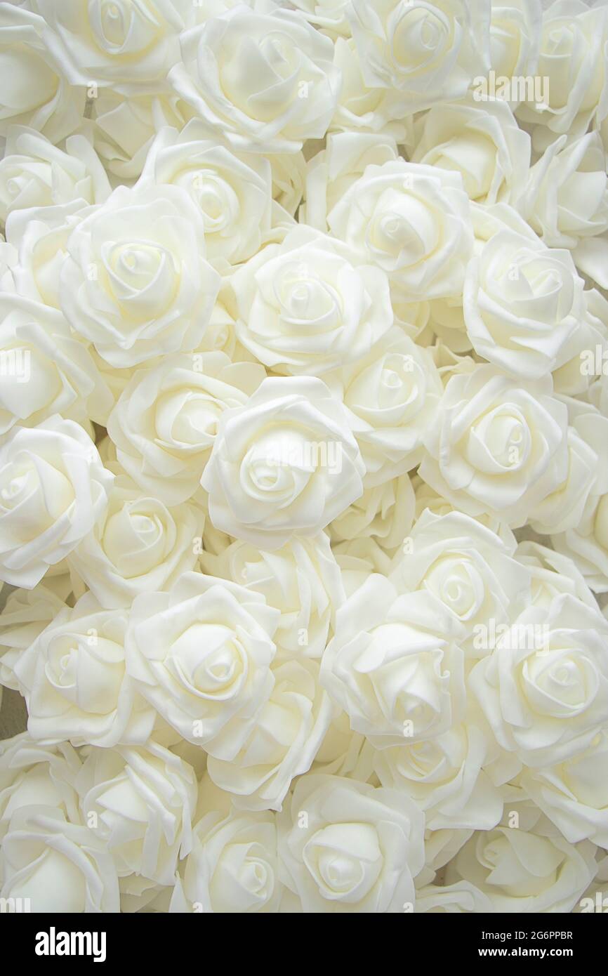 Hintergrund vieler gefälschter weißer Rosen. Draufsicht. Flacher, weicher Fokus Stockfoto
