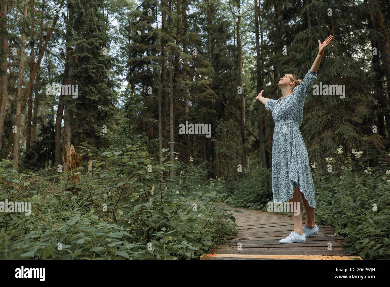 Junge, schöne Frau atmet frische Luft im Wald und hebt ihre Hände hoch. Konzept der Outdoor-Aktivitäten. Copy Space. Stockfoto