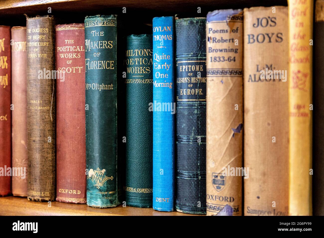 Alte Bücher auf einem Bücherregal in einem Antiquitätengeschäft (Hampton Court Emporium, East Molesey, UK) Stockfoto