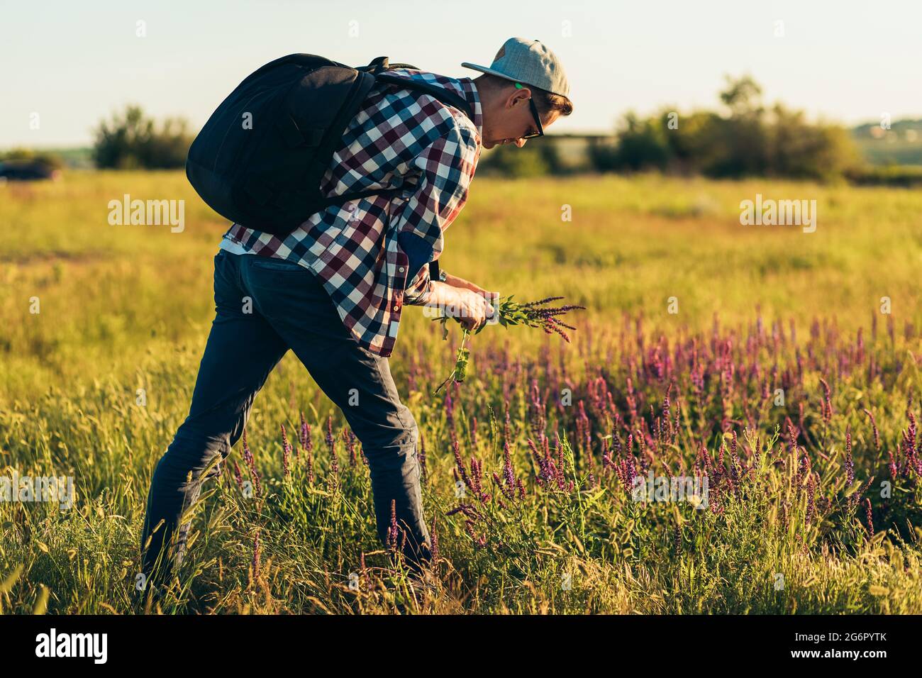 Junger Mann in einer Mütze mit einem Rucksack, Reisen und Wandern in der Natur, sammelt ein Tourist Blumen auf dem Feld, das Konzept des Tourismus, Outdoor-recreati Stockfoto