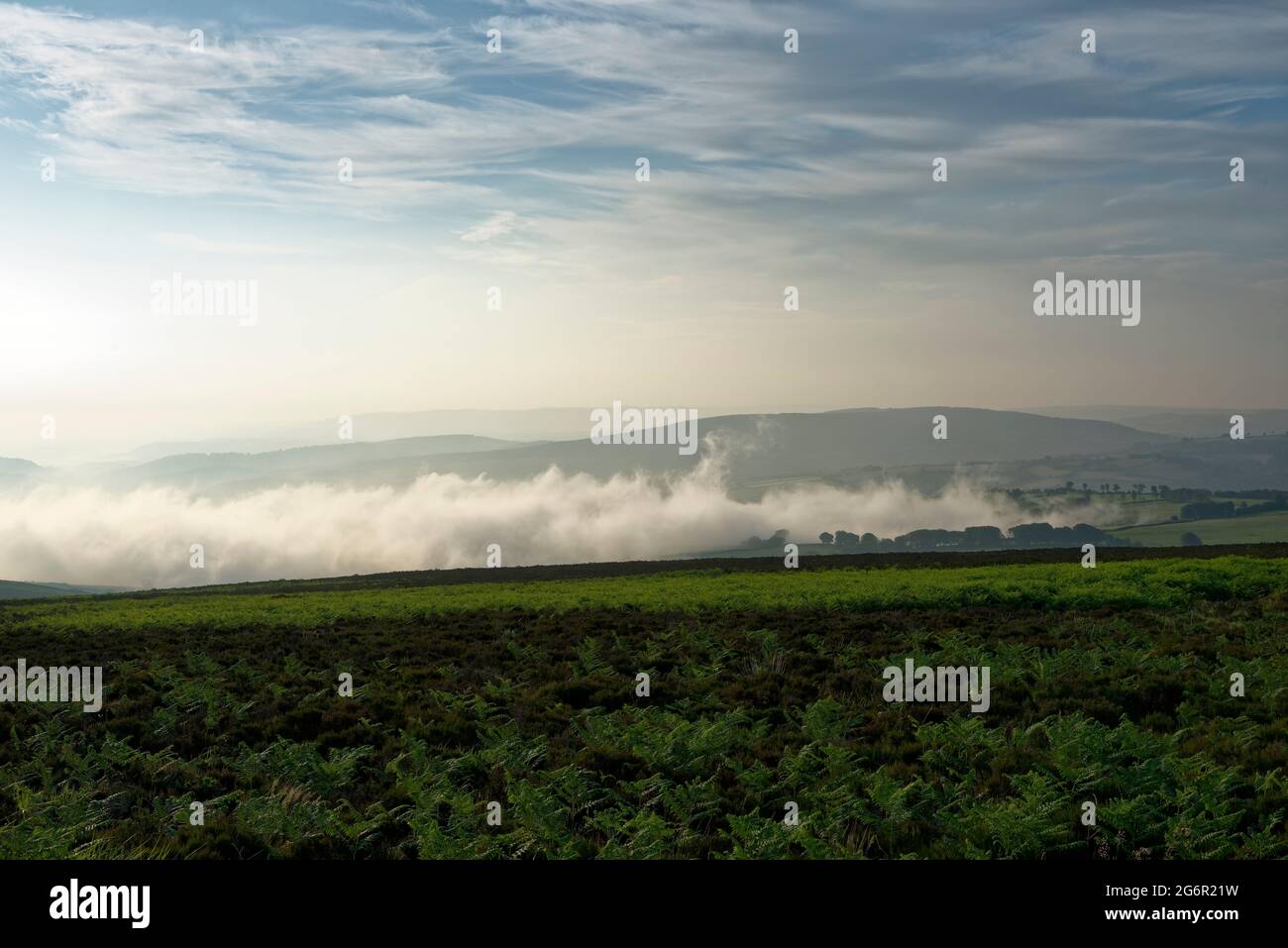 Am frühen Morgen Nebel über Avrill Valley mit Croydon Hill Beyond, von Dunkery Hill, Exmoor, Somerset aus gesehen Stockfoto