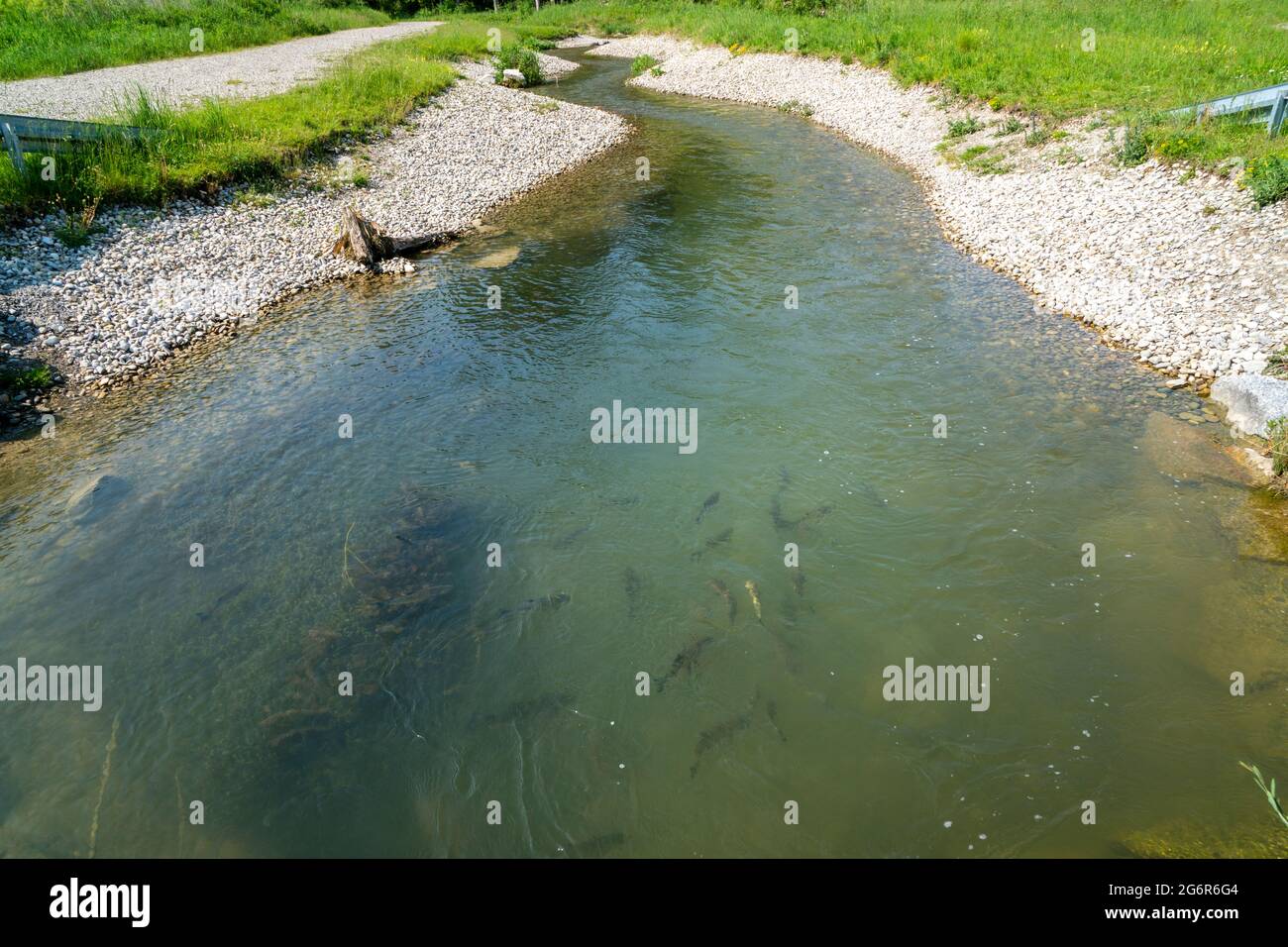 Fischleiter für die Migration von Laichfischen im Flusslauf Stockfoto