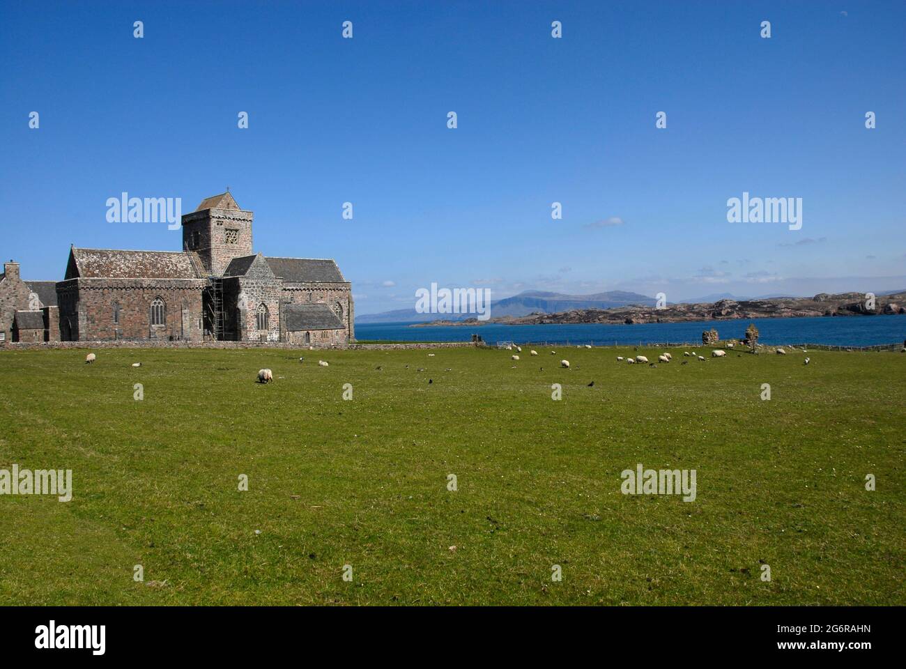 Iona Abbey jenseits eines Feldes mit Schafweiden, Iona, Schottland mit Mull Beyond Stockfoto