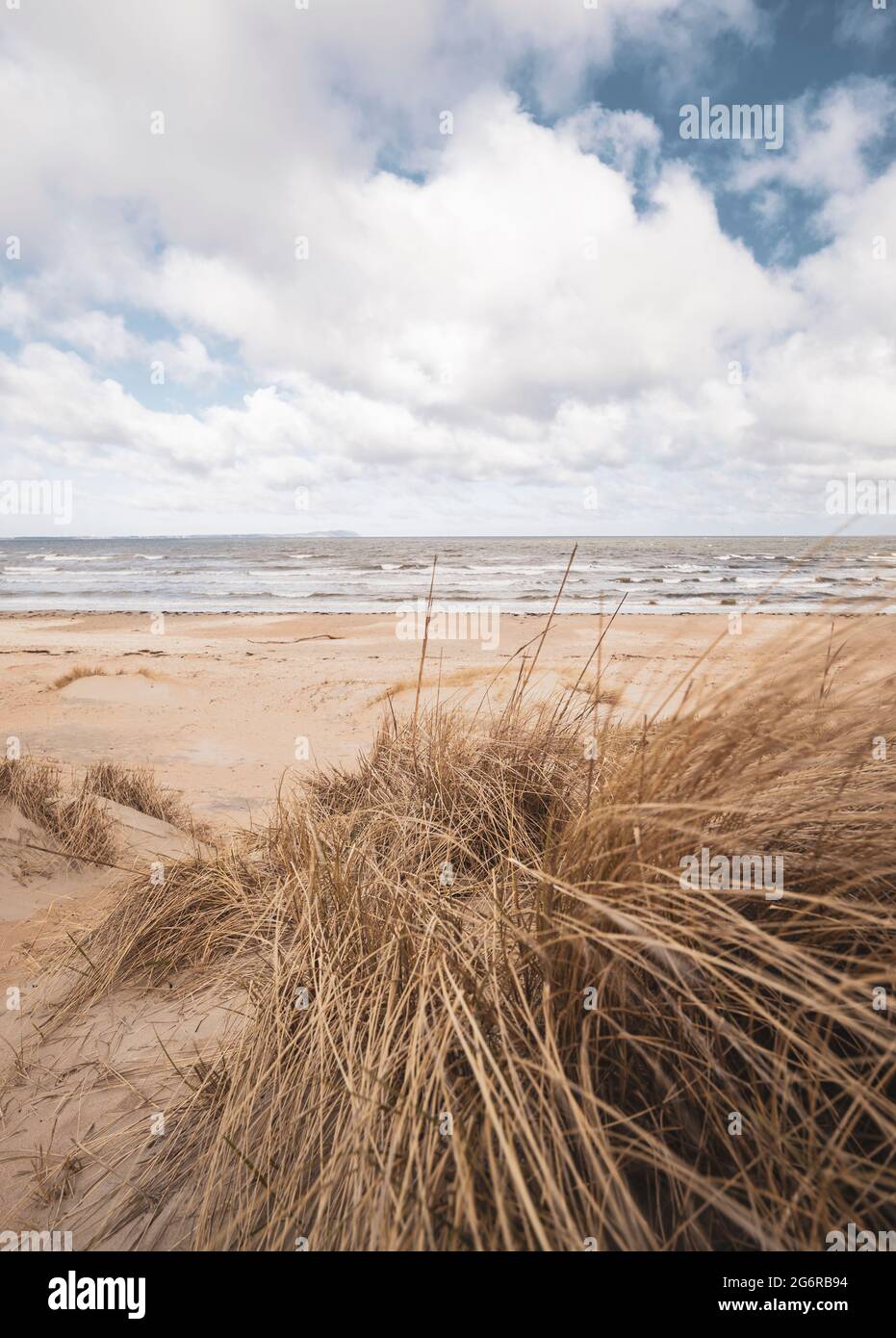 Grasbewachsene Sanddünen am schwedischen Strand. Stockfoto