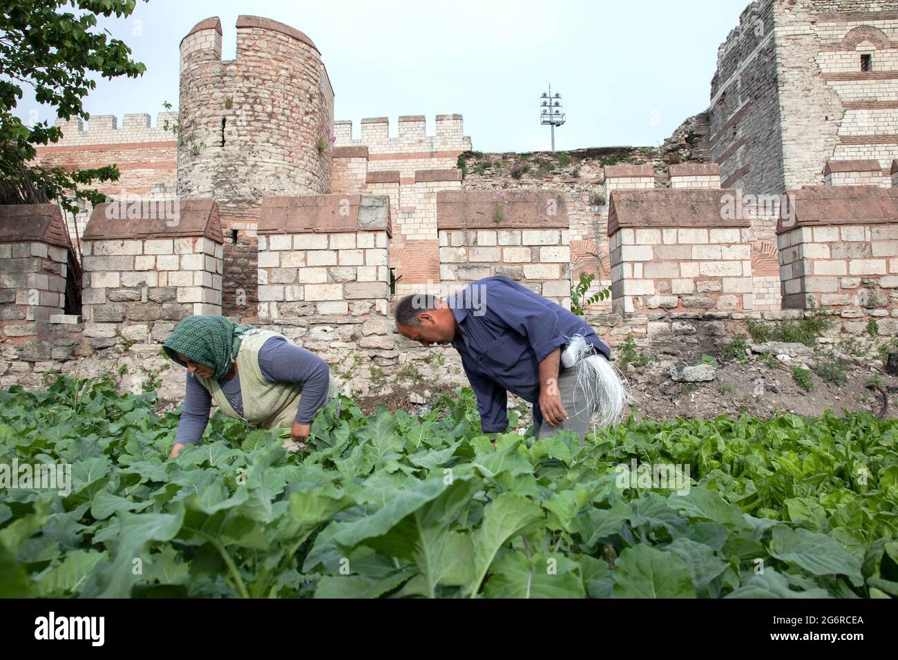 Fatih,Istanbul-Türkei - 05-20-2017:Blick auf die historischen byzantinischen Mauern und den Gemüsegarten Stockfoto