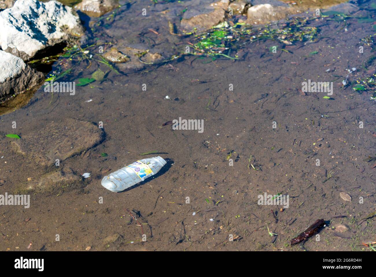 Plastikflasche im Wasser in der Natur. Weggeworfener Plastikmüll in einem Fluss. Stockfoto