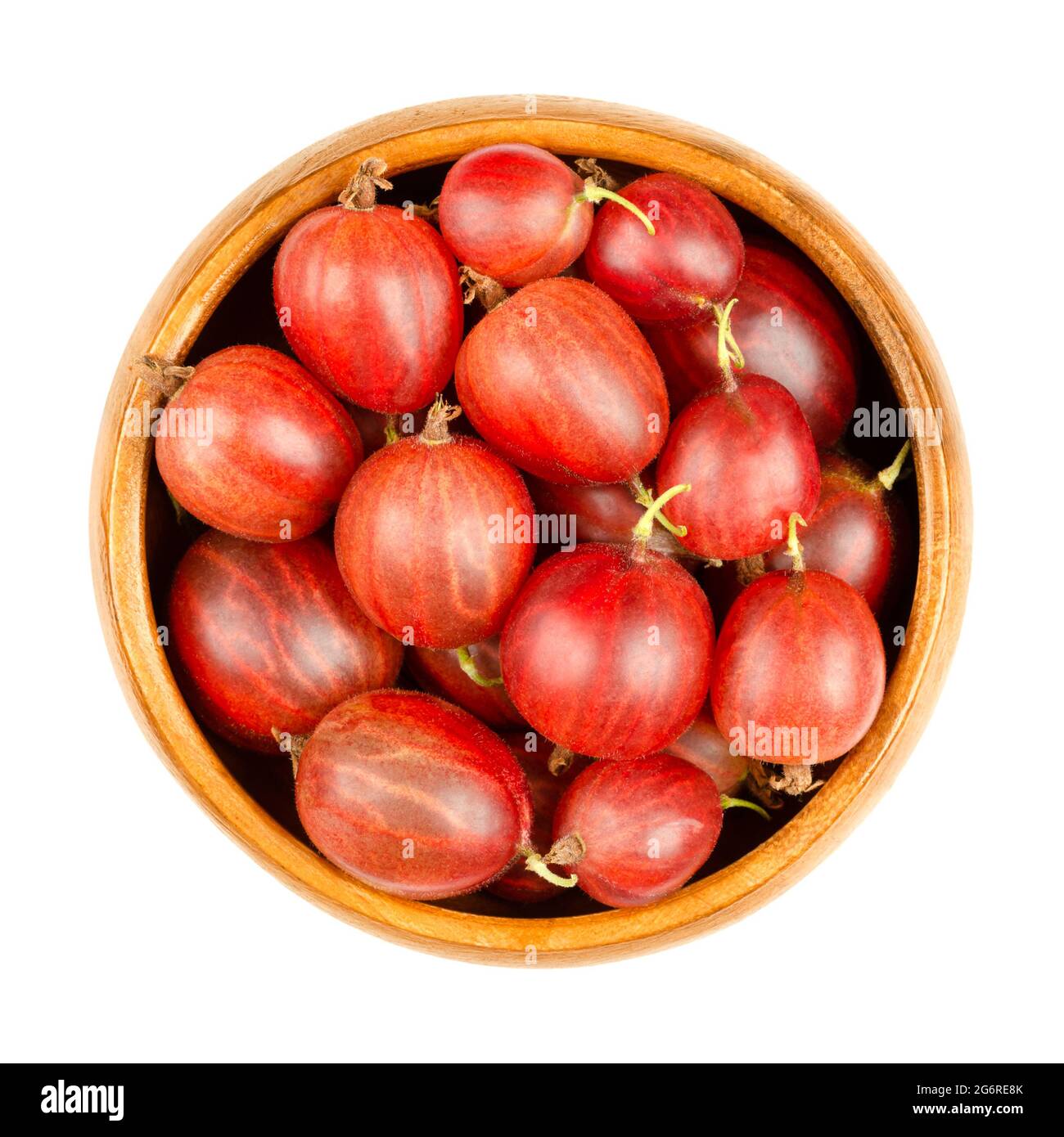 Rote Stachelbeeren in einer Holzschale. Frische und reife Beeren, Früchte von Ribes uva-Crispa, auch bekannt als europäische Stachelbeere, mit süßem Geschmack. Stockfoto