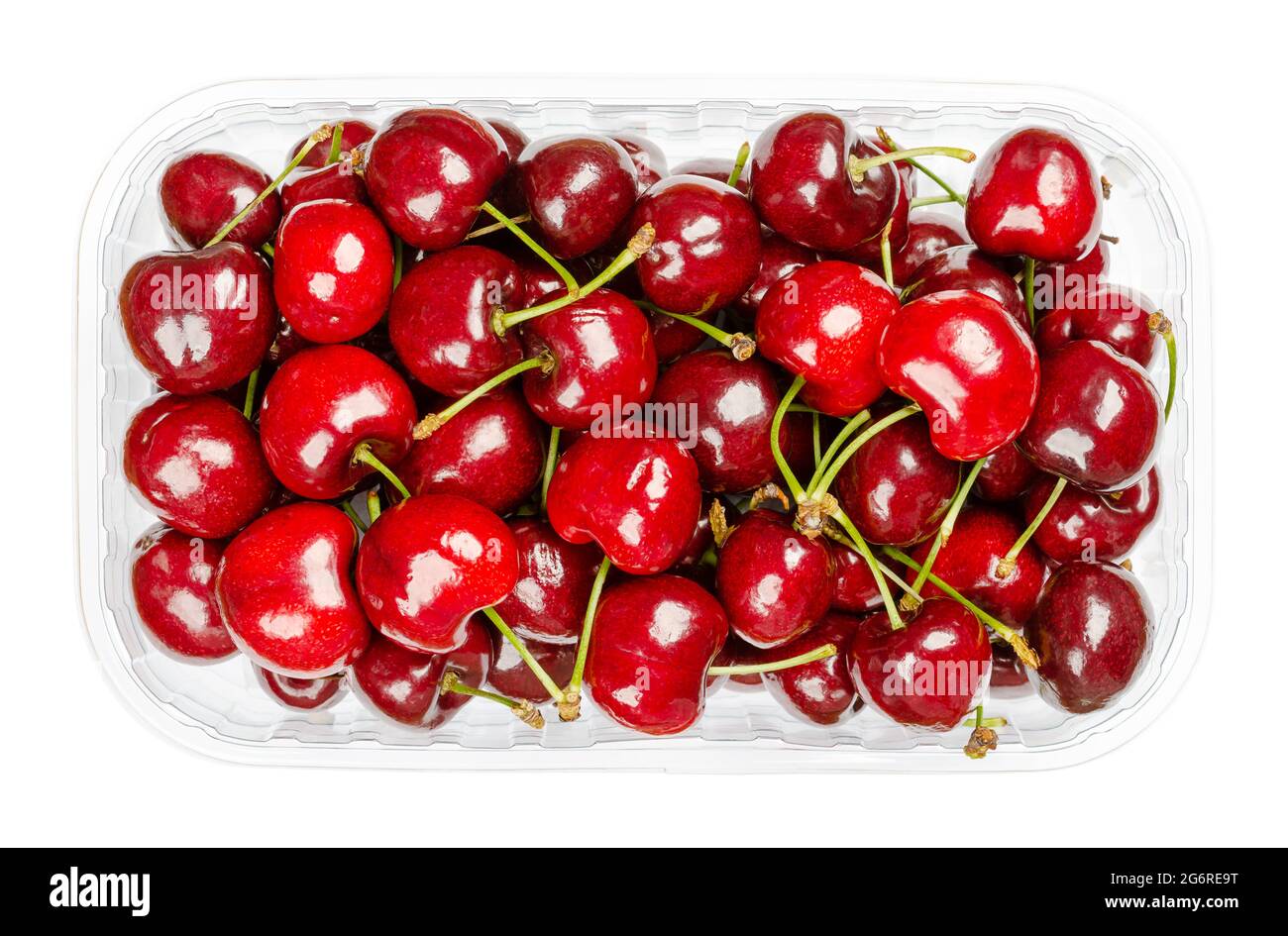 Frische Kirschen in einem Plastikbehälter. Verzehrfertige, rote und reife Früchte der echten Kirschart Prunus avium, eine Steinobstsorte. Nahaufnahme. Stockfoto