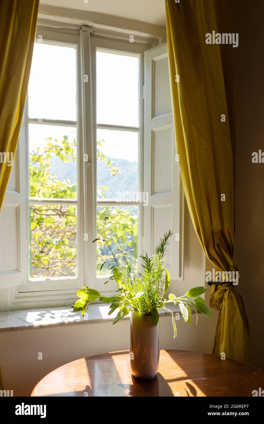 Fenster von innen gesehen auf einer grünen und romantischen Landschaft. Konzeptuelle Fotografie schaut weg Stockfoto