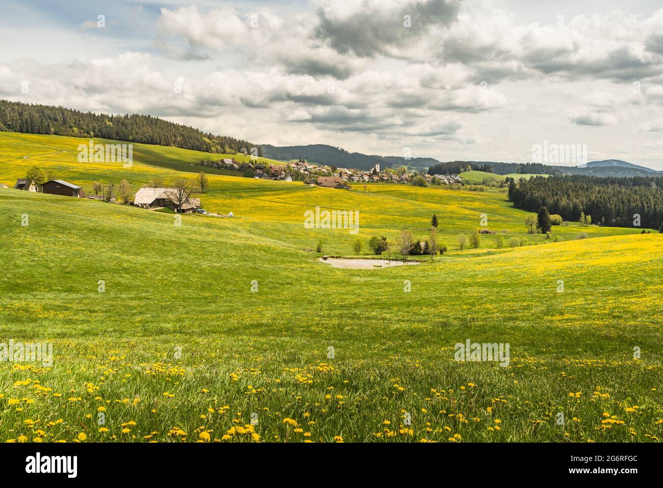 Bauernhöfe und Blumenwiese mit Blick auf das Dorf BreitNaus im Schwarzwald, Baden-Württemberg, Deutschland Stockfoto