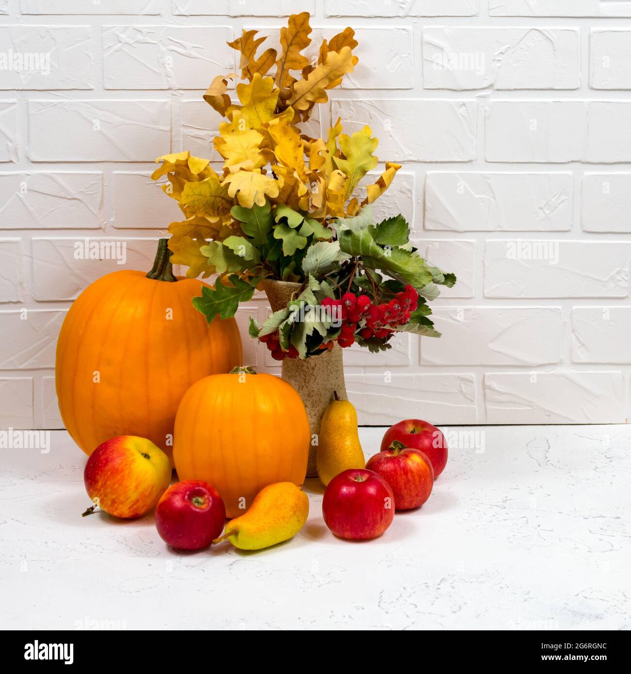 Stillleben mit reifen Kürbis, Äpfeln, Birnen und Herbstblättern auf weißem Grund. Nahaufnahme Herbst Ernte Hintergrund Stockfoto