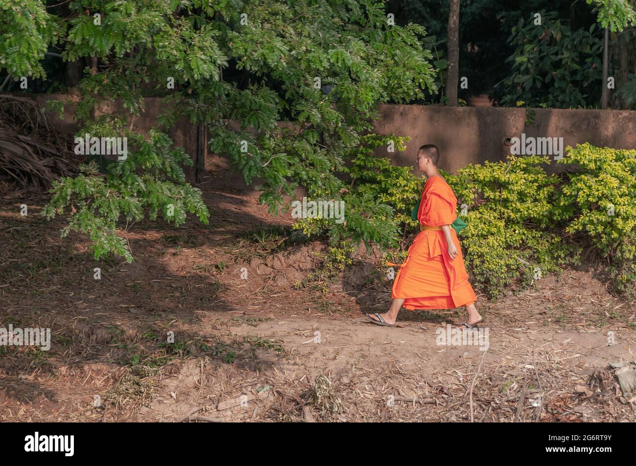 Ein junger buddhistischer Mönch mit traditionellen Safranroben, der am Chao Phraya Flussufer in Bangkok in Thailand in Südostasien entlang läuft. Stockfoto