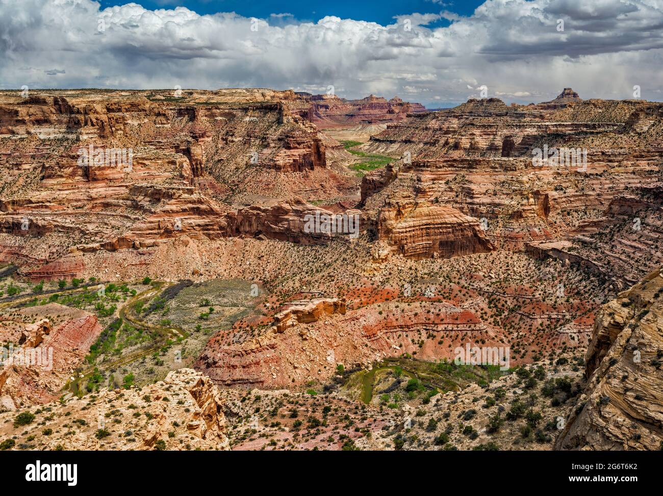 Little Grand Canyon, Blick vom Wedge Overlook, San Rafael River, San Rafael Swell, Utah, USA Stockfoto