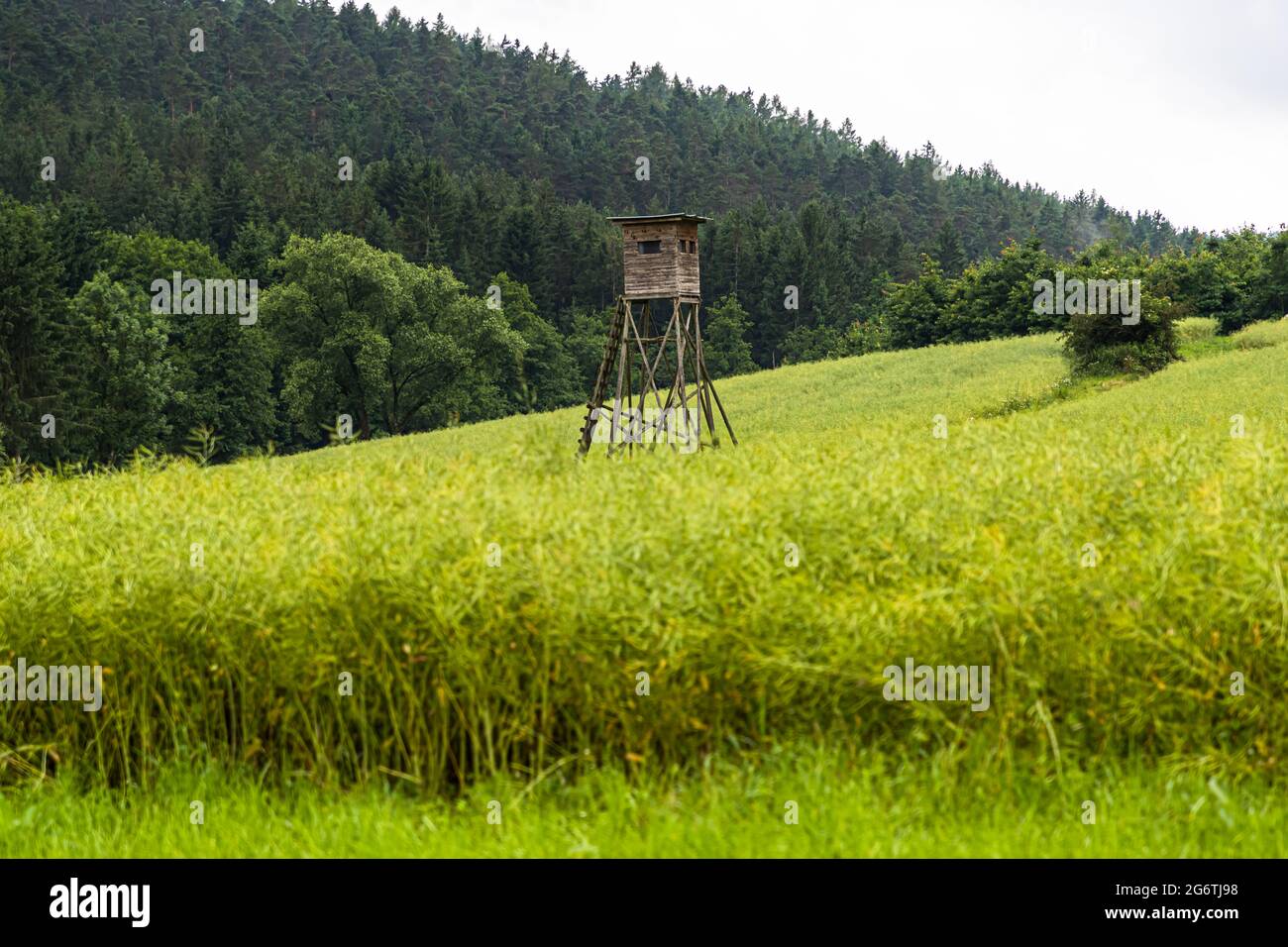 Hohes Standbild in der Landschaft von Lautertal, Deutschland Stockfoto
