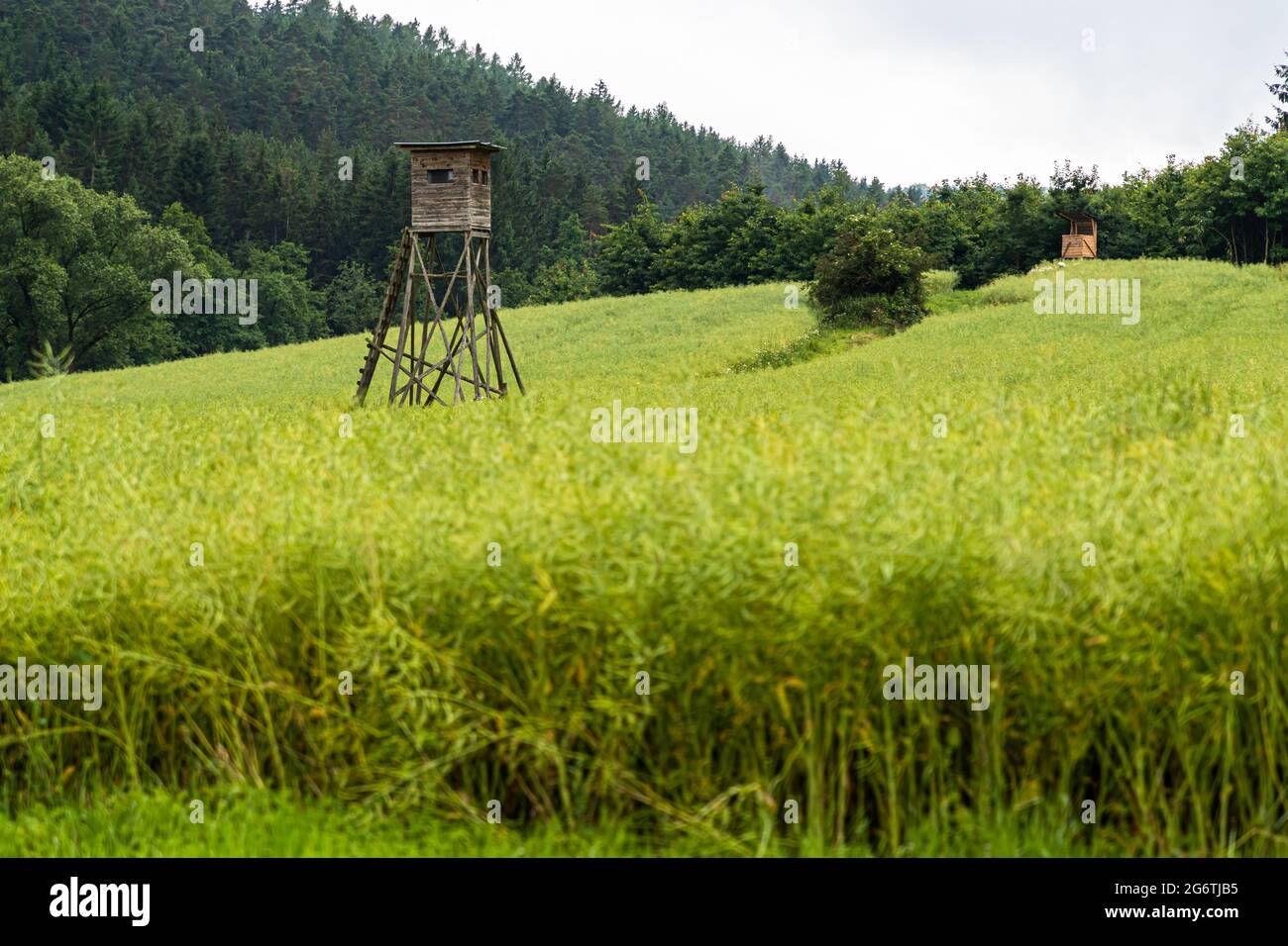 Hohes Standbild in der Landschaft von Lautertal, Deutschland Stockfoto