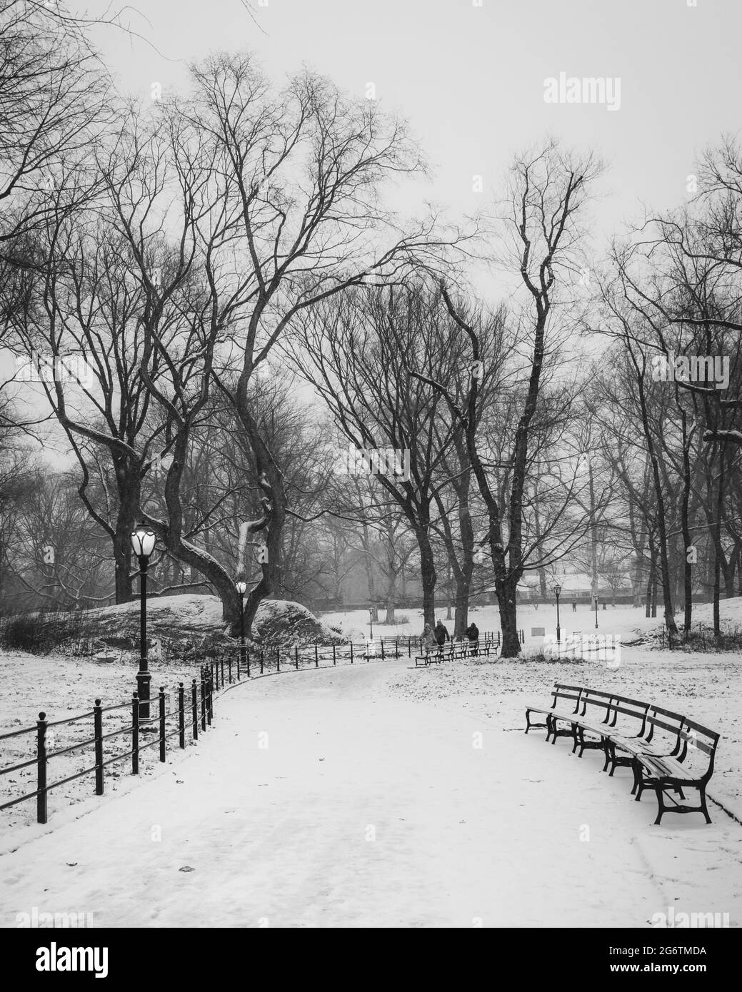 Verschneite Gehwege im Central Park, Manhattan, New York City Stockfoto