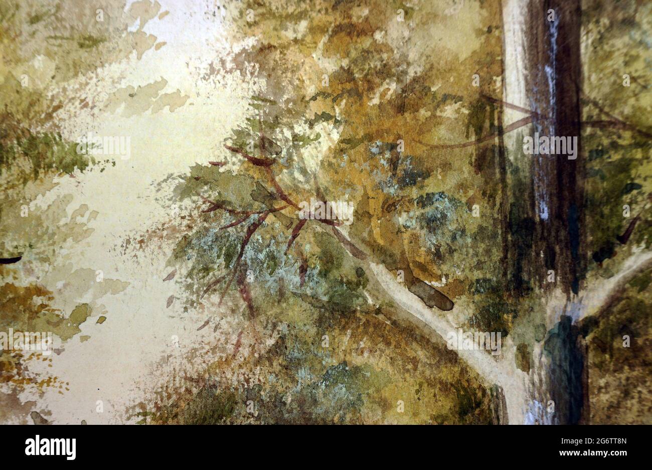 Pinselstrich, Thailand Waldbaummalerei abstrakter Aquarellhintergrund Stockfoto