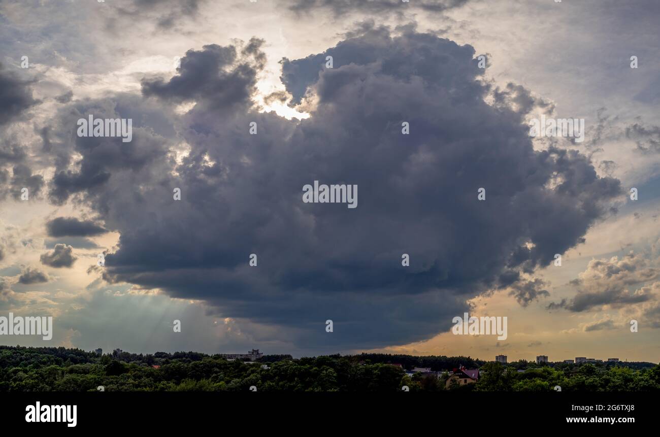 Blaubeer Muffin Wolke Stockfoto