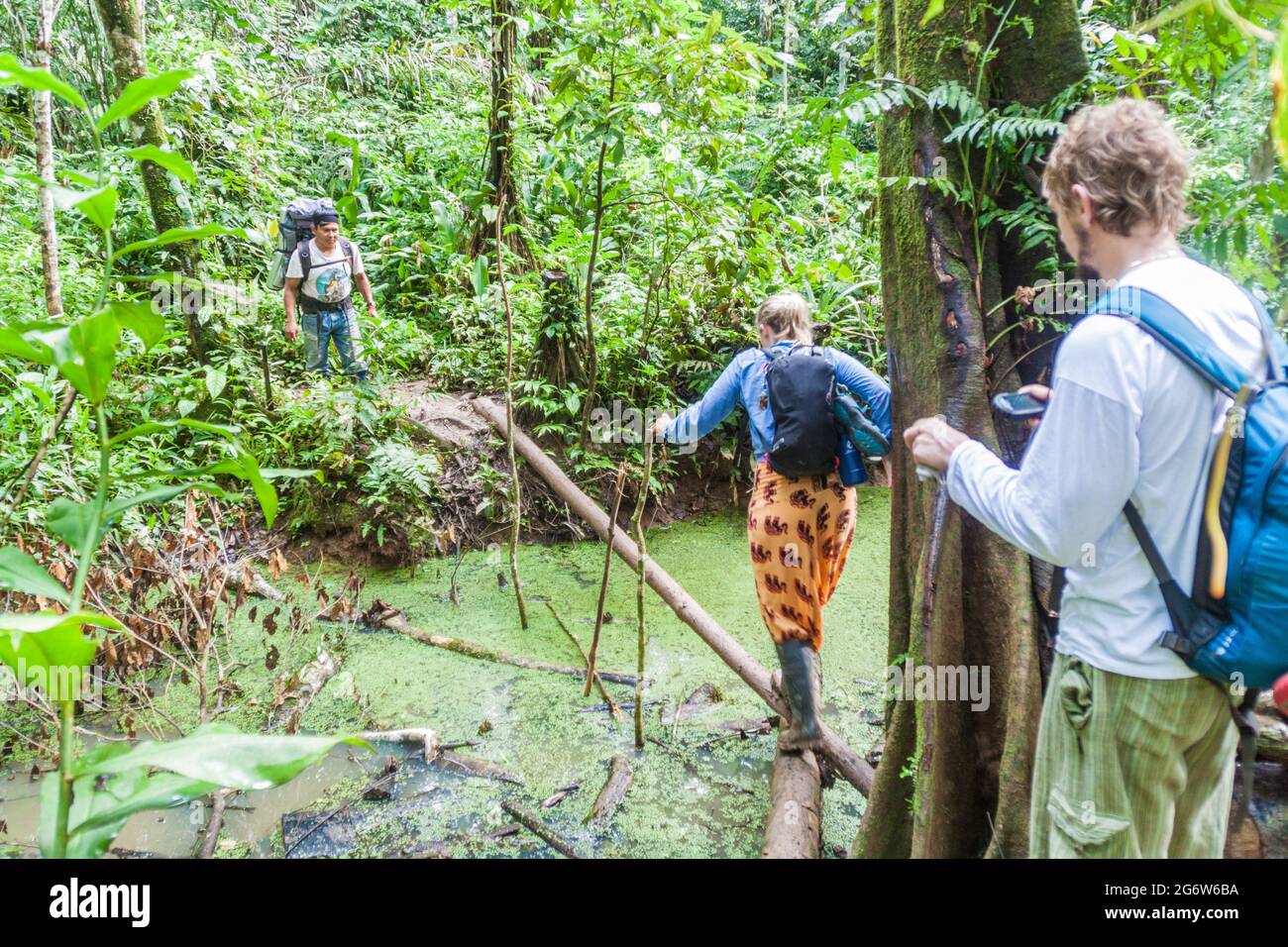 MADIDI, BOLIVIEN - 8. MAI 2105: Einheimischer Reiseführer und Touristen in einem Dschungel des Madidi-Nationalparks, Bolivien Stockfoto