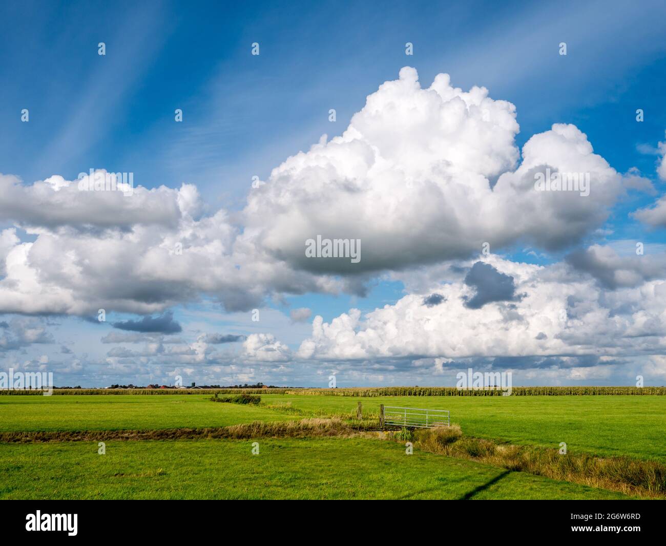 Cumulus Wolken und Polderlandschaft mit Wiesen bei Grou, Friesland, Niederlande Stockfoto