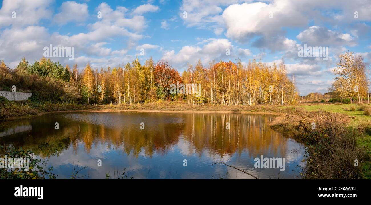 Panorama des Meeuwenveen Sees im Naturschutzgebiet Takkenhoogte, Zuidwolde, Drenthe, Niederlande Stockfoto