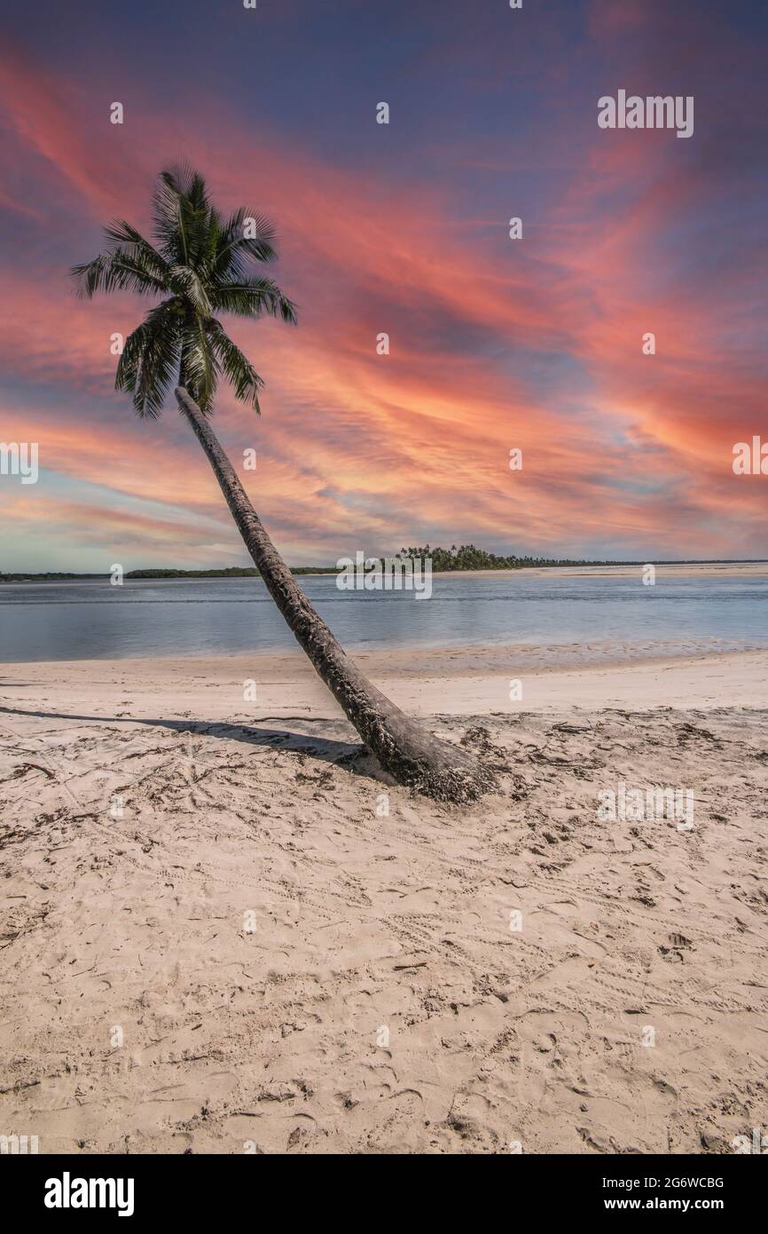 Tropische Insel Boipeba im Nordosten Brasiliens in Bahia. Stockfoto