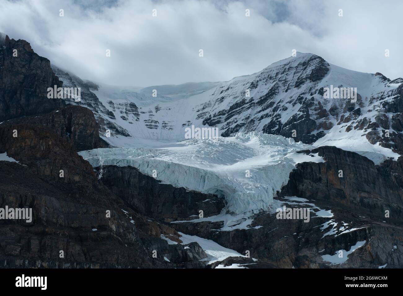 Andromeda-Gletscher am columbia-Eisfeld Stockfoto