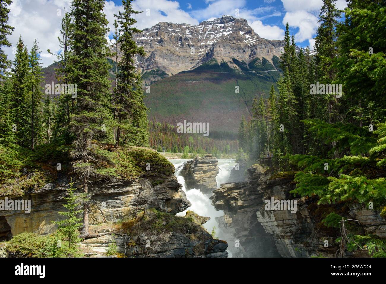 Athabasca River, der einen Canyon schnitzt Stockfoto