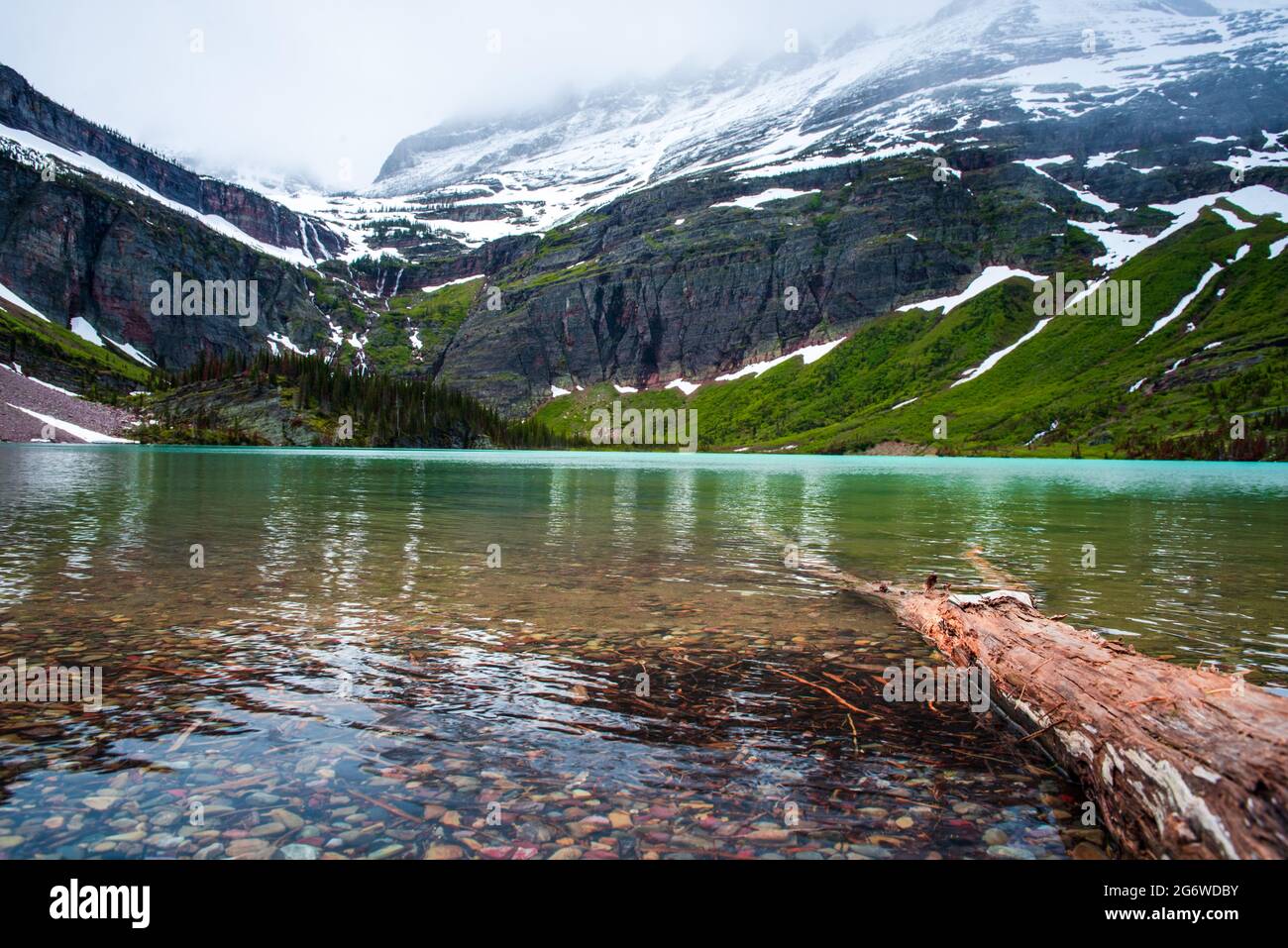 Grinnell Lake Ufer mit Baumstamm und farbigen Kieselalge Stockfoto