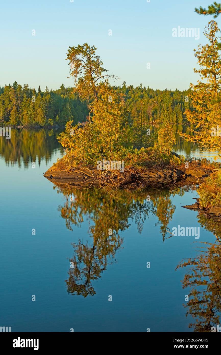 Morgenreflexionen auf einer winzigen Insel am Jenny Lake in den Boundary Waters in Minnesota Stockfoto