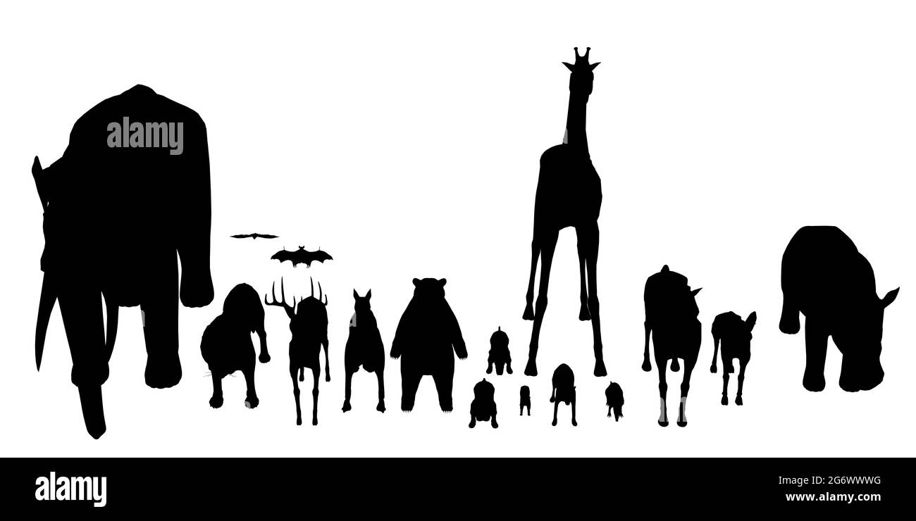Set mit Silhouetten von verschiedenen Tieren isoliert auf weißem Hintergrund. Vektorgrafik. Stock Vektor