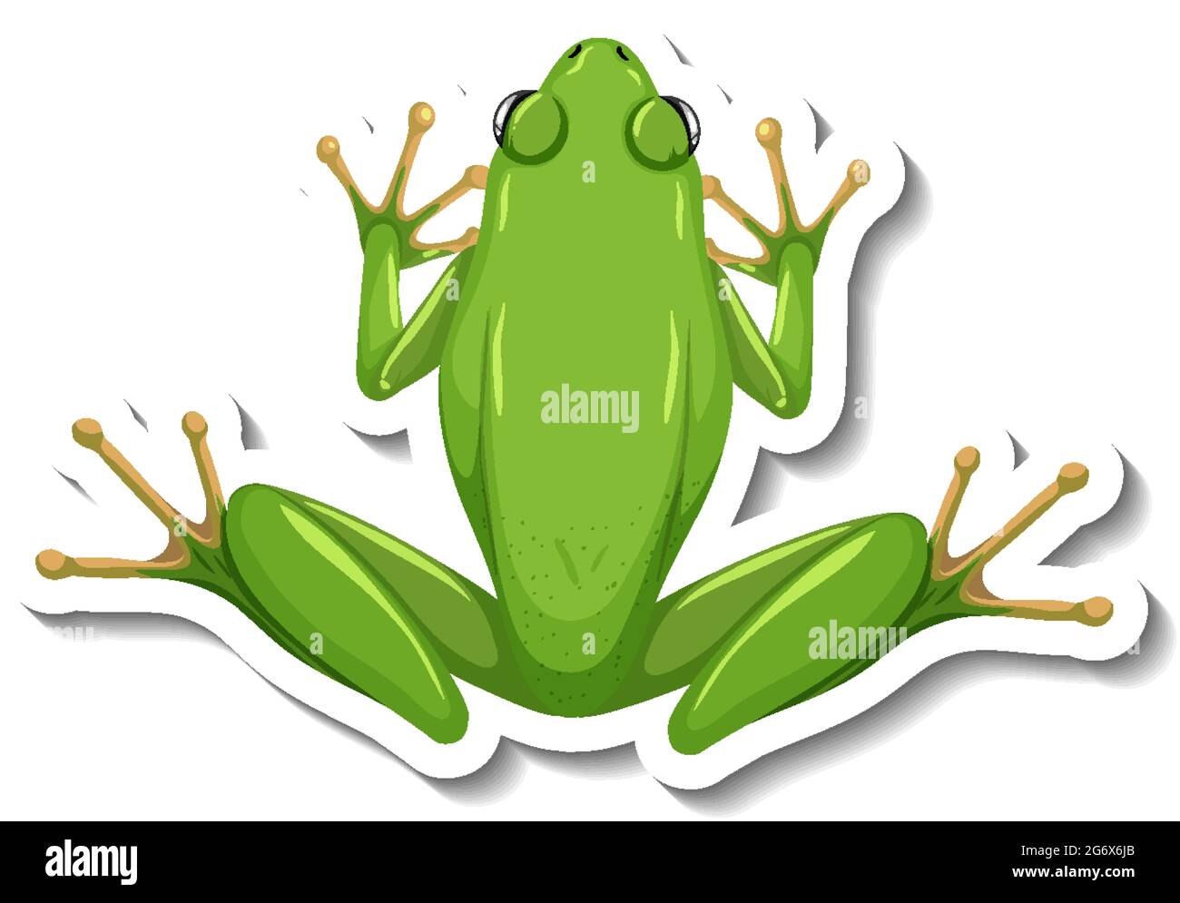 Eine Aufkleber-Vorlage mit Draufsicht auf grüne Frosch isoliert  Illustration Stock-Vektorgrafik - Alamy