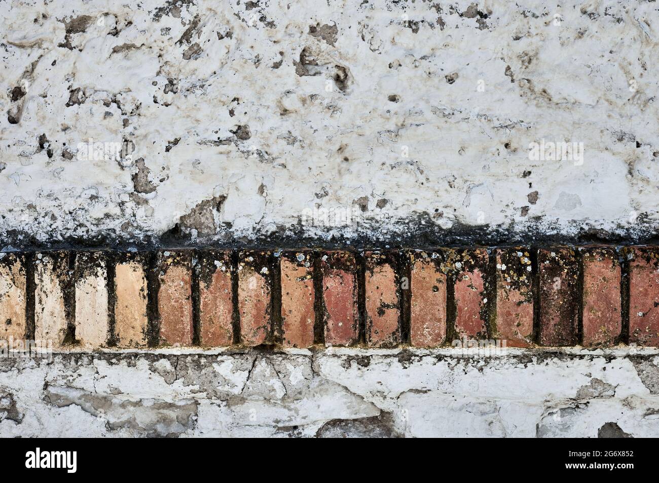 Detail einer weiß getünchten Wand mit einem Streifen freiliegender rötlich-erder Ziegel Stockfoto