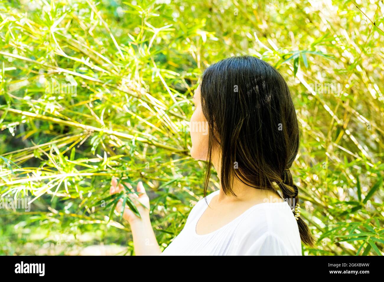 Lifestyle, Selbstfindung in der Natur. Heilung und Weisheit. Blick in die Zukunft. Stockfoto