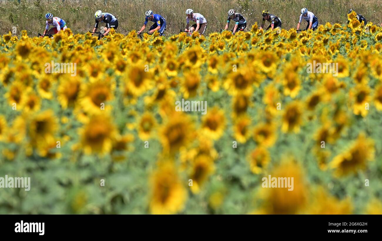 Abbildung Bild zeigt das Rudel von Fahrern in Aktion während der Etappe 13 der 108. Ausgabe der Tour de France Radrennen, von Nimes bis Carcass Stockfoto