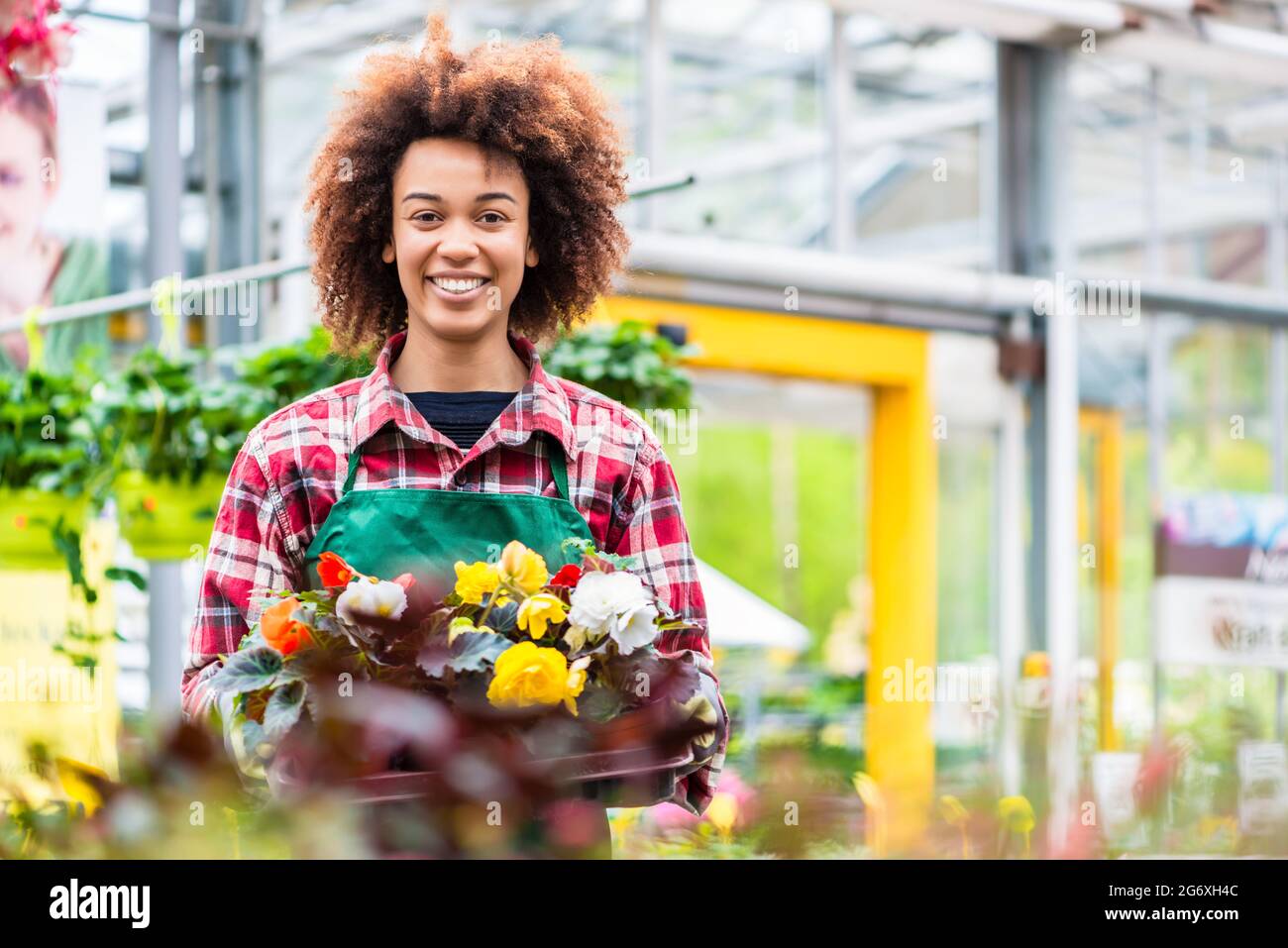 Seitenansicht eines engagierten Floristen, der ein Tablett mit dekorativen Topfblumen hält, während er in einem modernen Blumenladen mit verschiedenen Zimmerpflanzen zum Verkauf arbeitet Stockfoto