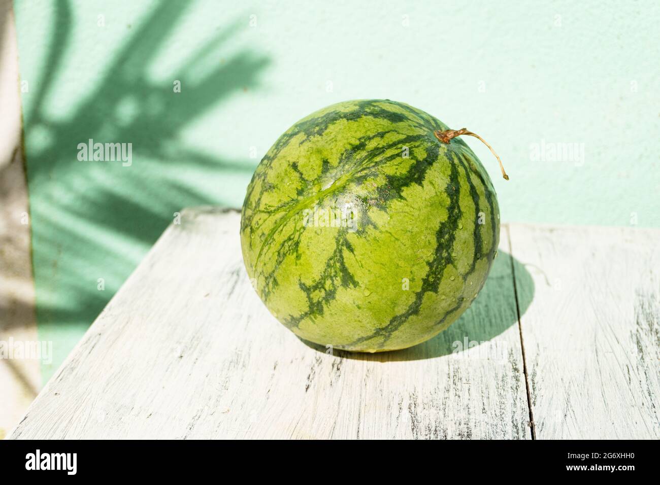 Wassermelone, tropische Früchte auf hellem Hintergrund, modernes minimalistisches Foto. Stockfoto