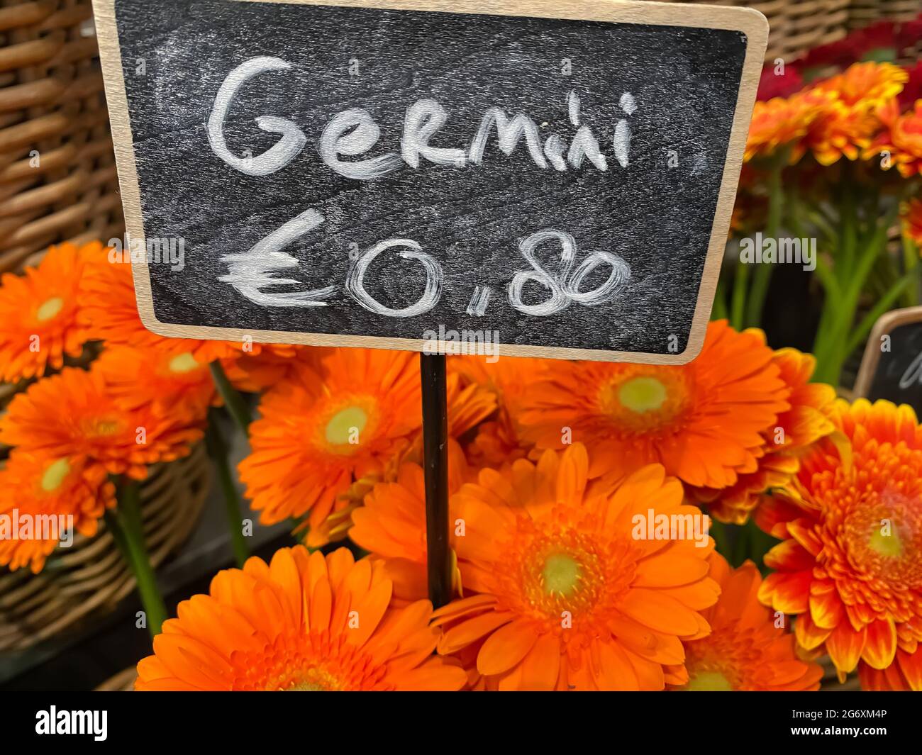 Blick auf Kreidetafel mit handgeschriebenem Preis 80 Euro Cent und orangefarbener Germini-Schnittblumen im Korb auf dem Markt (Schwerpunkt auf der Mitte der Kreidetafel) Stockfoto