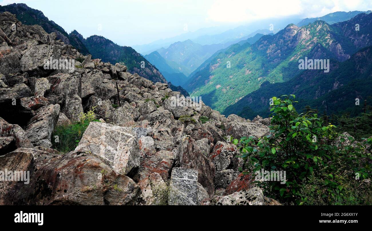 XI'an. Juli 2021. Luftaufnahme vom 8. Juli 2021 zeigt die einzigartige Steinlandschaft im Zhuque National Forest Park in Xi'an, nordwestlich der chinesischen Provinz Shaanxi. Quelle: Liu Xiao/Xinhua/Alamy Live News Stockfoto