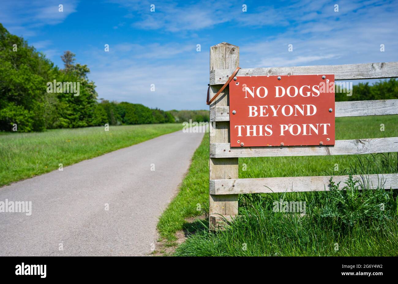 Keine Hunde über diesen Punkt hinaus Zeichen auf einem Weg in die Landschaft in England, Großbritannien. Stockfoto