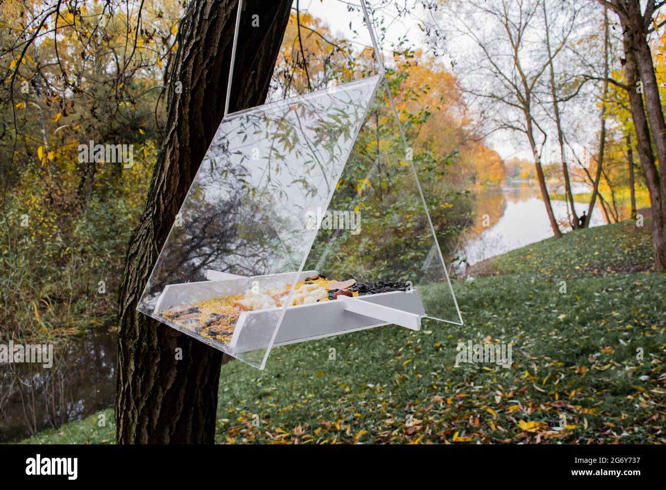 Ein Vogelfutterhäuschen in Form eines Hauses mit transparentem Dach. Zum Füttern, Vögel beobachten. Es gibt Körner und Samen darin. Hängt an einem Baum an der Stockfoto