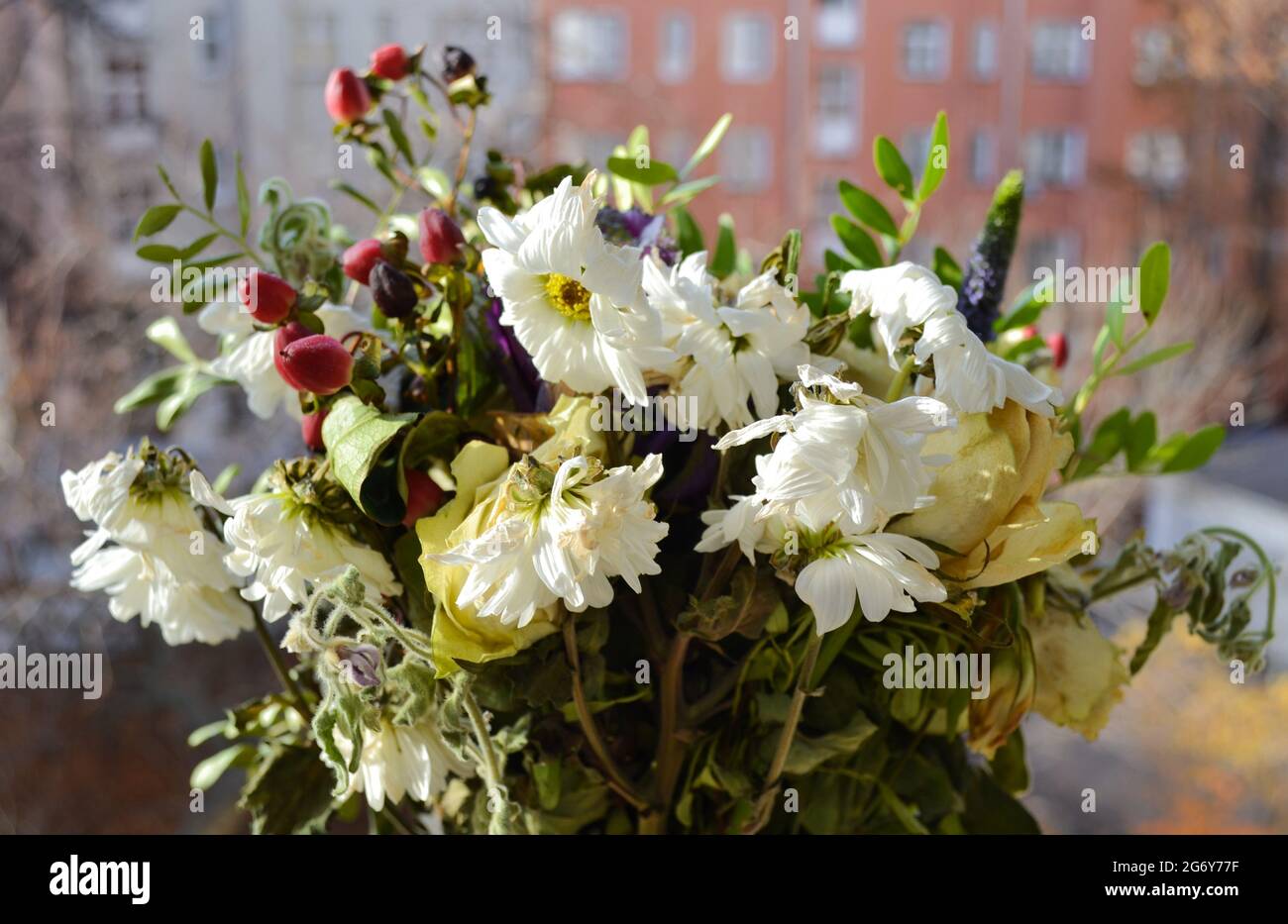 Ein verwelkter, gefrorener Strauß weißer Rosen und Chrysanthemen, Grün auf offenem Fenster vor dem Hintergrund der Straße und der Häuser. Das Ende des Urlaubs Stockfoto