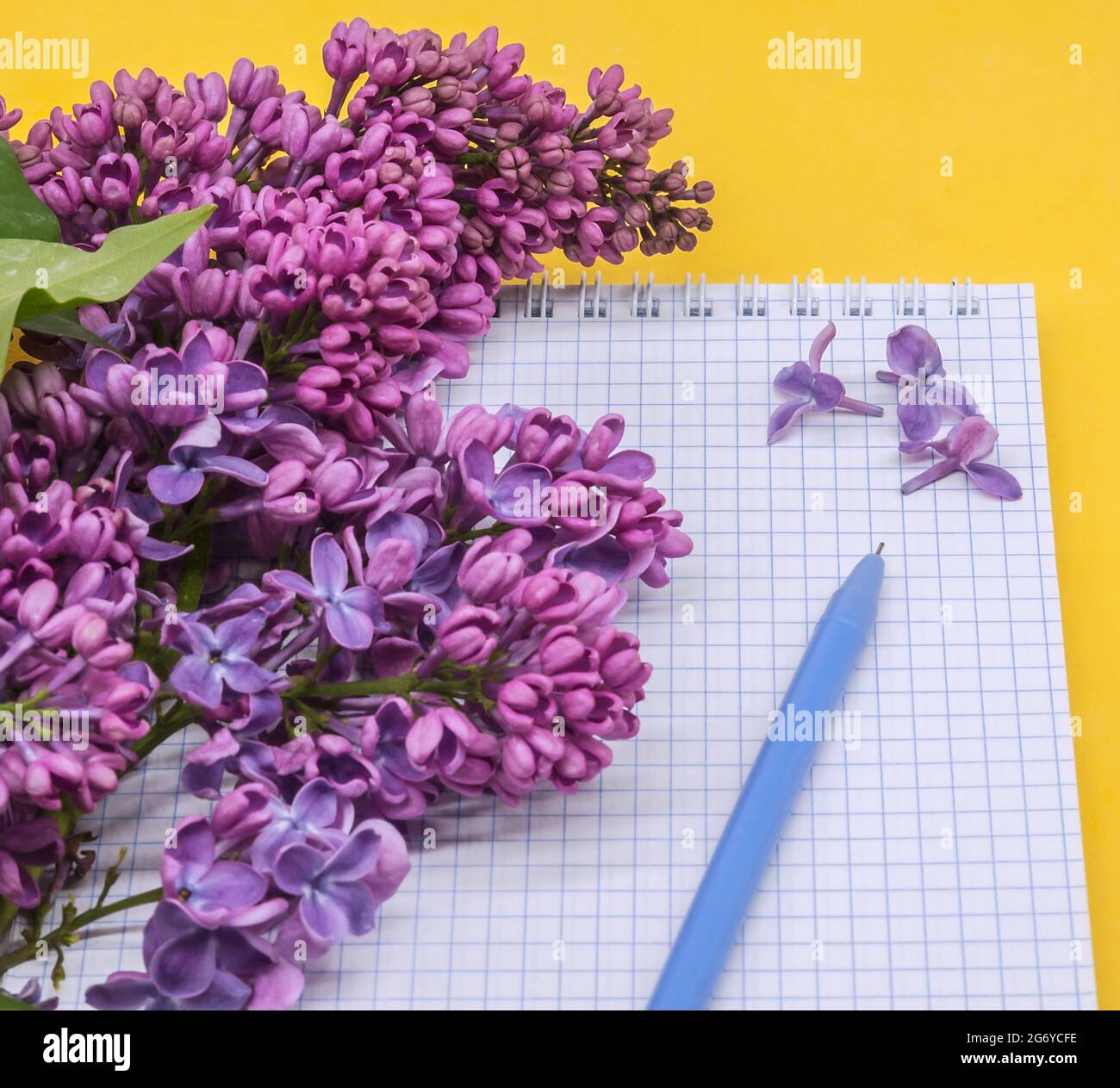 Notizblock mit Stift und Blumen. Spiralnotizbuch und Stift. Notebook-Flieder auf gelbem Hintergrund. Stockfoto