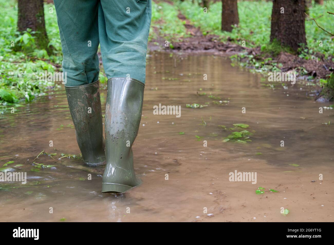 Ein Mann geht in seinen grünen Gummistiefeln durch den überfluteten Wald. Extreme Witterungsbedingungen, die durch den Klimawandel verursacht werden, verursachen auch immense Schäden in den Wäldern. Stockfoto